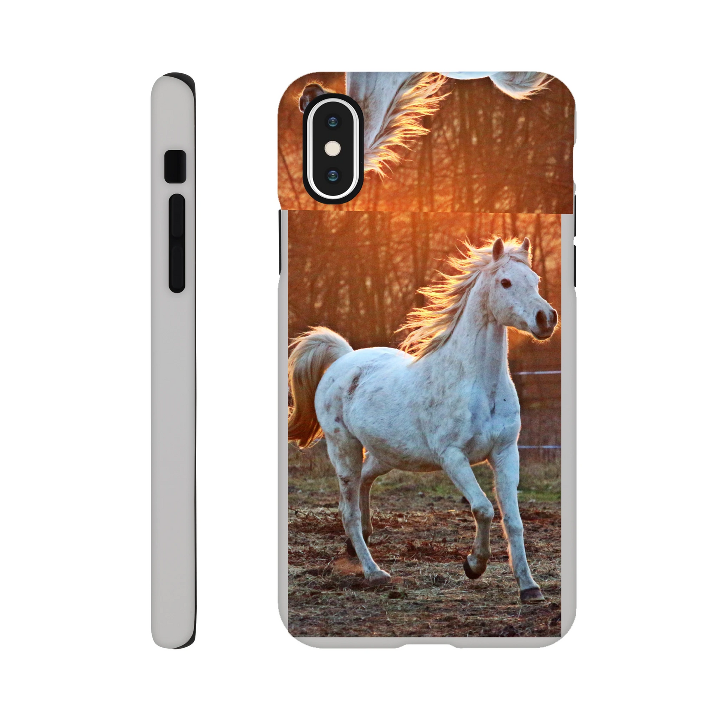 26cd67a9-e3d8-405f-97e8-a4c1ca049dff