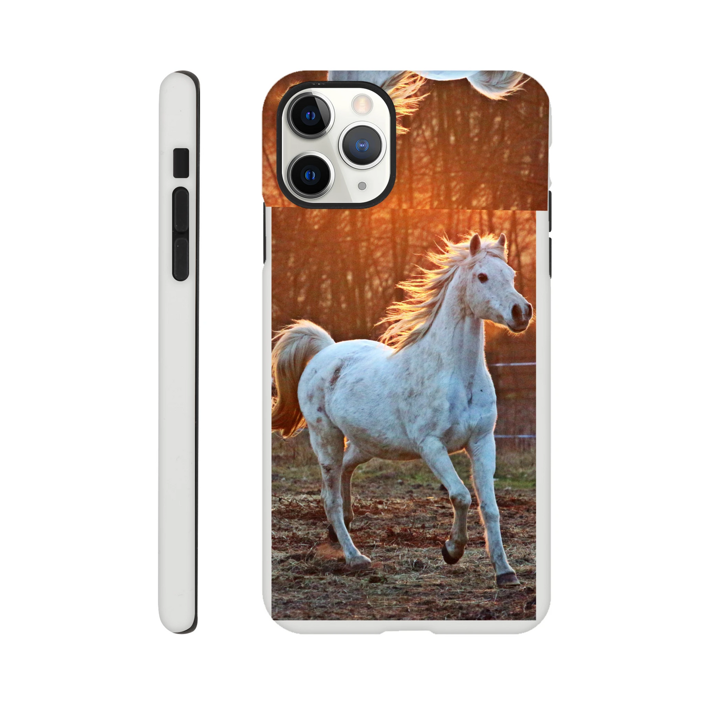 43f96fca-aafa-4a3f-885c-3e655d897125