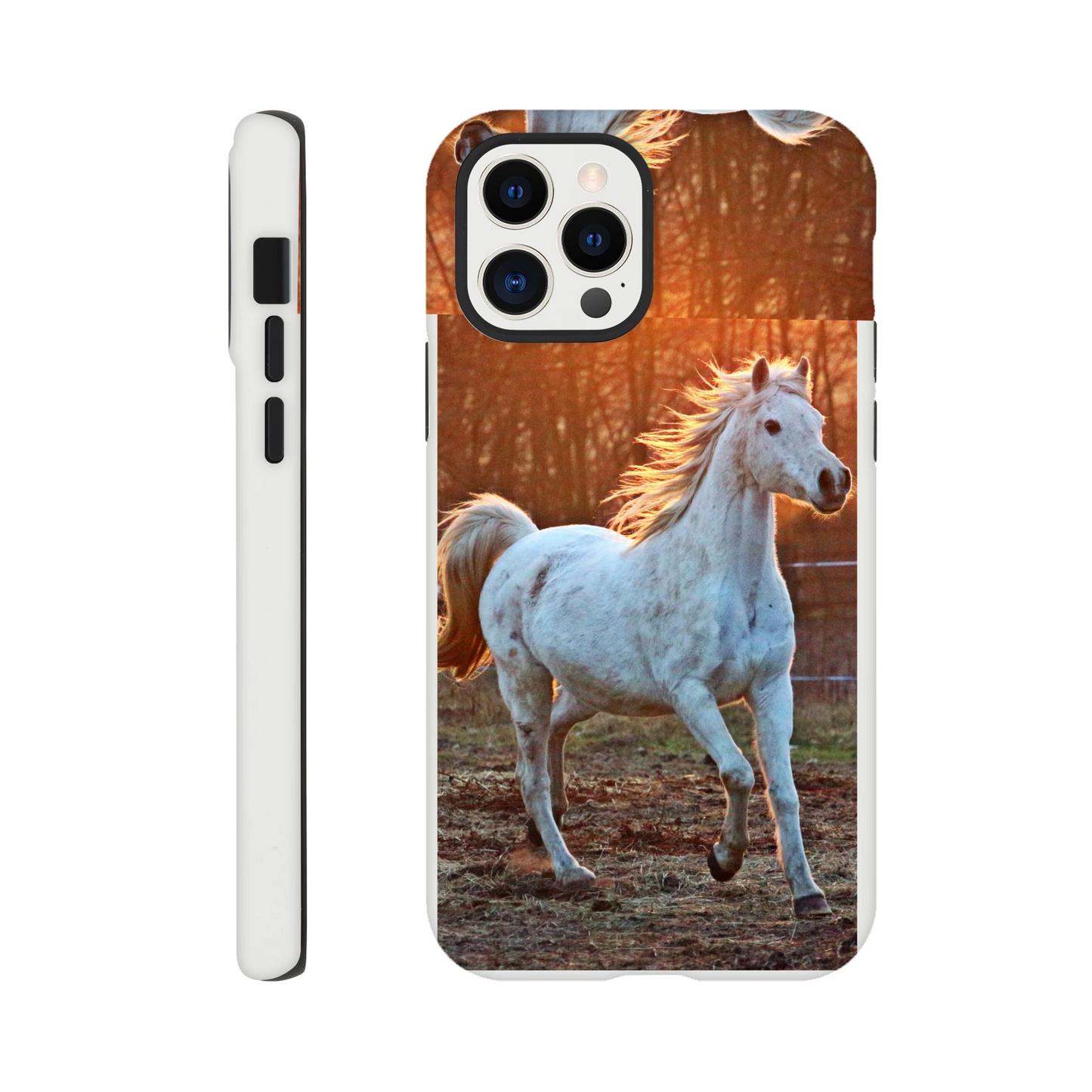 623deb3f-03d4-4561-aea8-ac5953e4361c