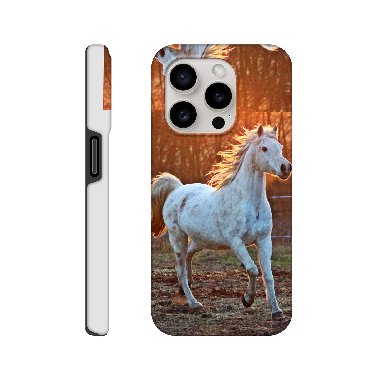 700ff840-2085-47e6-ace6-bd688812203f