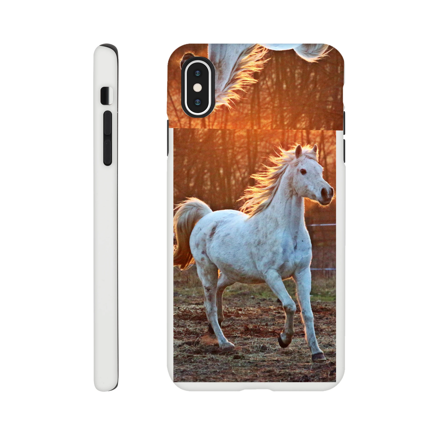 7b407dab-a861-4710-9fe8-d8e1111e8361