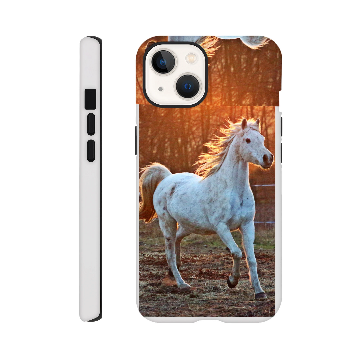 923726a4-b87a-470c-bfa8-690059051aa4