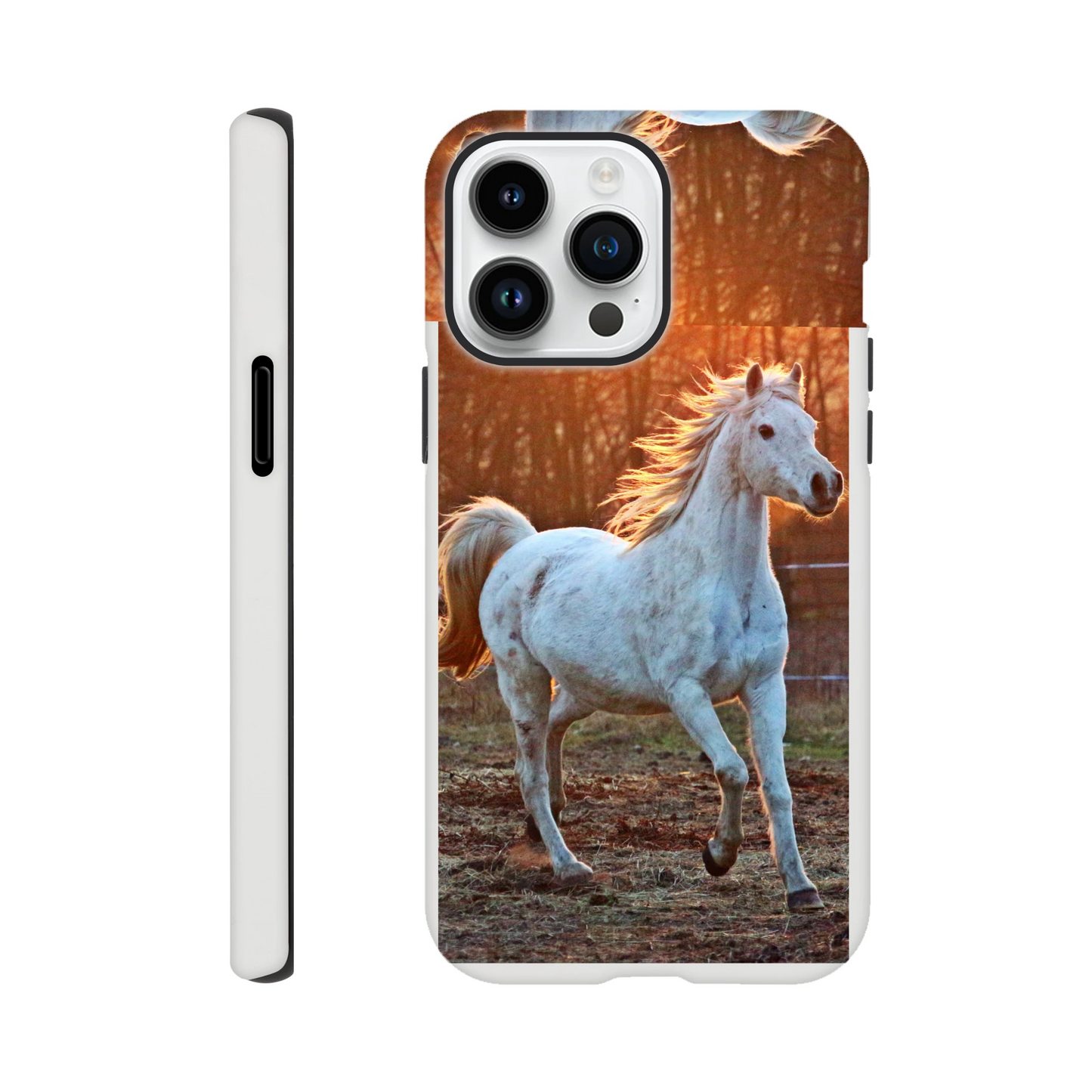 9feee397-e22a-43f0-821b-ce68602cbce2