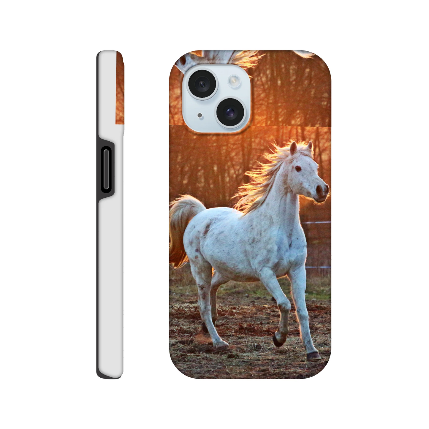 b80e01b6-6643-4df1-a22b-a86ecb84eeaa