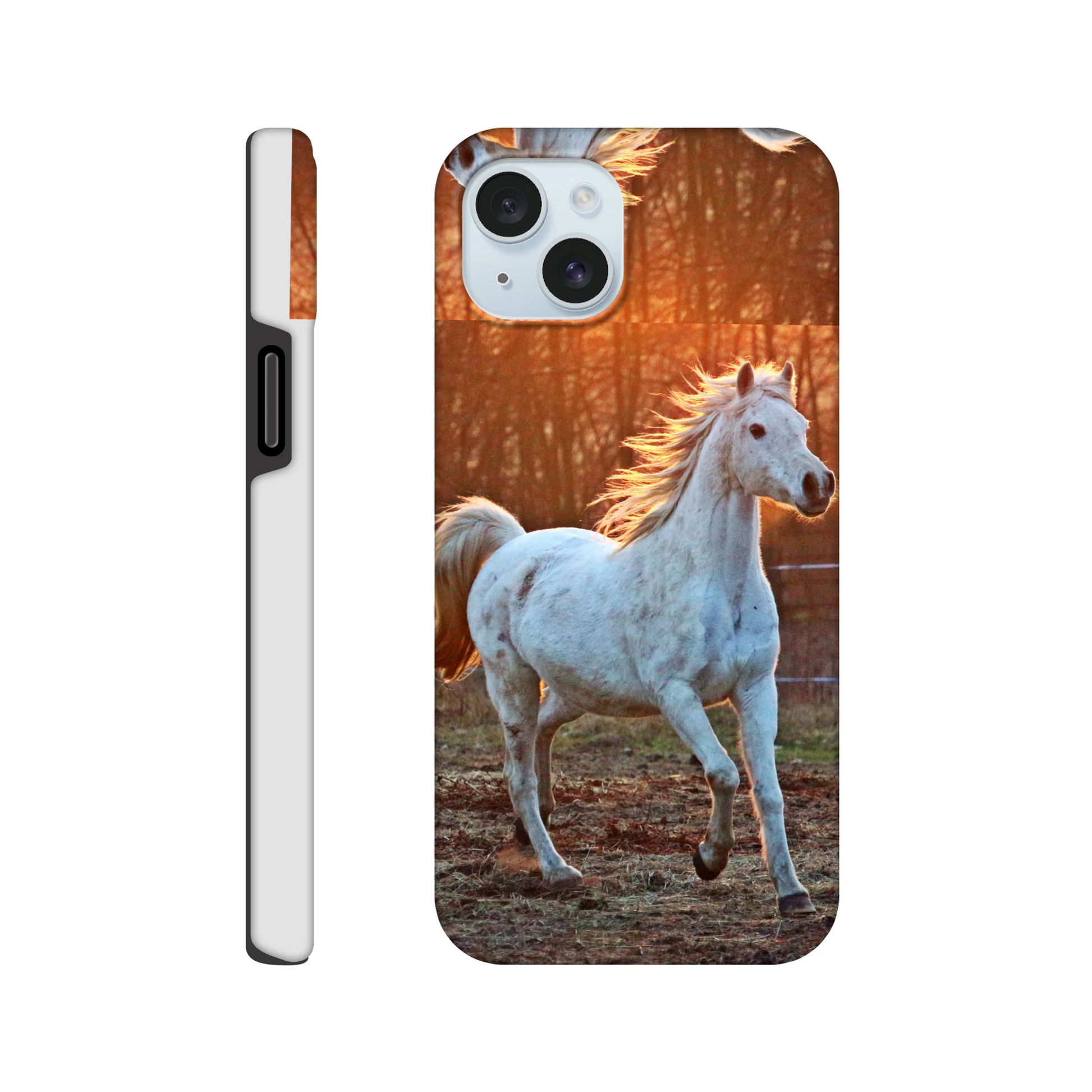 d18ab97e-418e-4090-927e-75ac8ef805f9